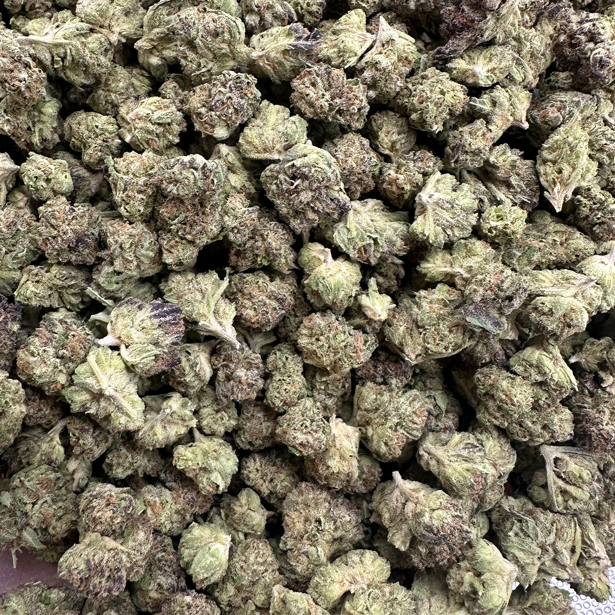 Bulk flower close-up shot. Canvast CBD Premium Organically Grown Hemp Flower